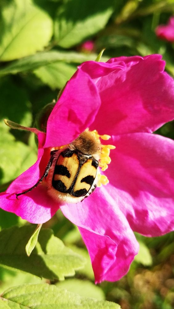 Photograph by Ирина Алпацкая