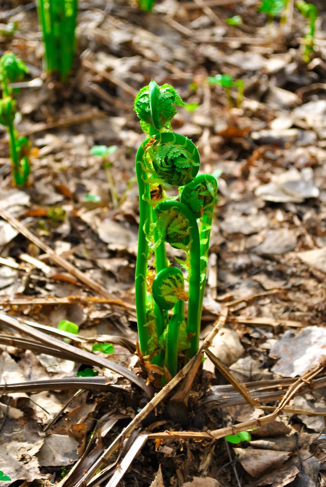 Photograph by Любовь Бусова