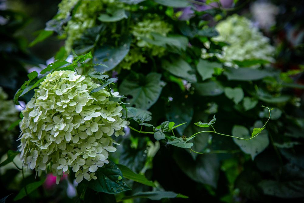 Photograph by Ольга Сафронова