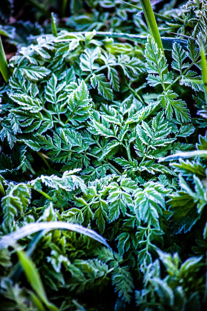 Photograph by Ольга Сафронова