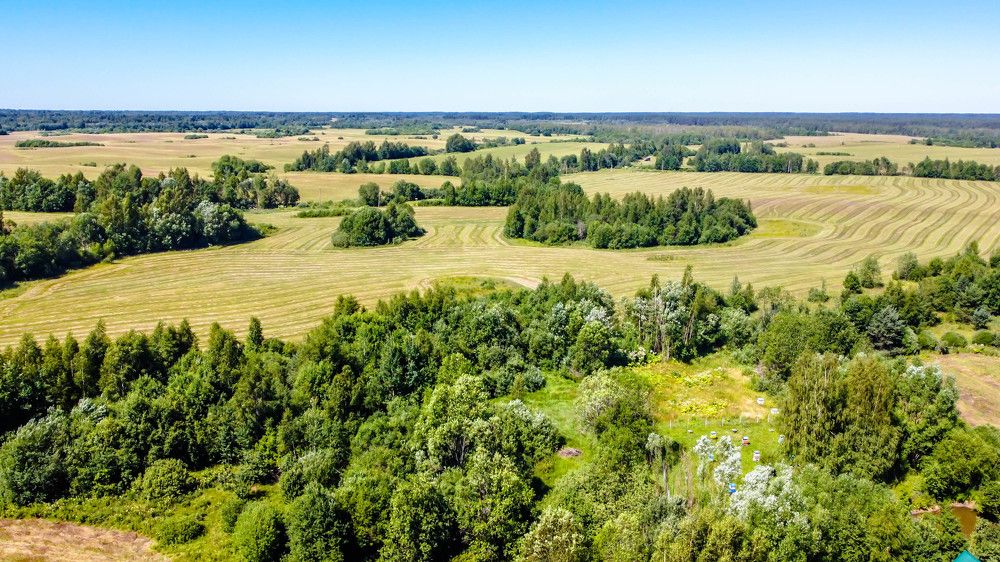 Photograph by Ольга Сафронова