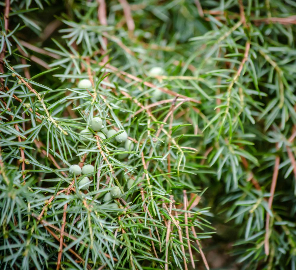 Photograph by Ольга Сафронова