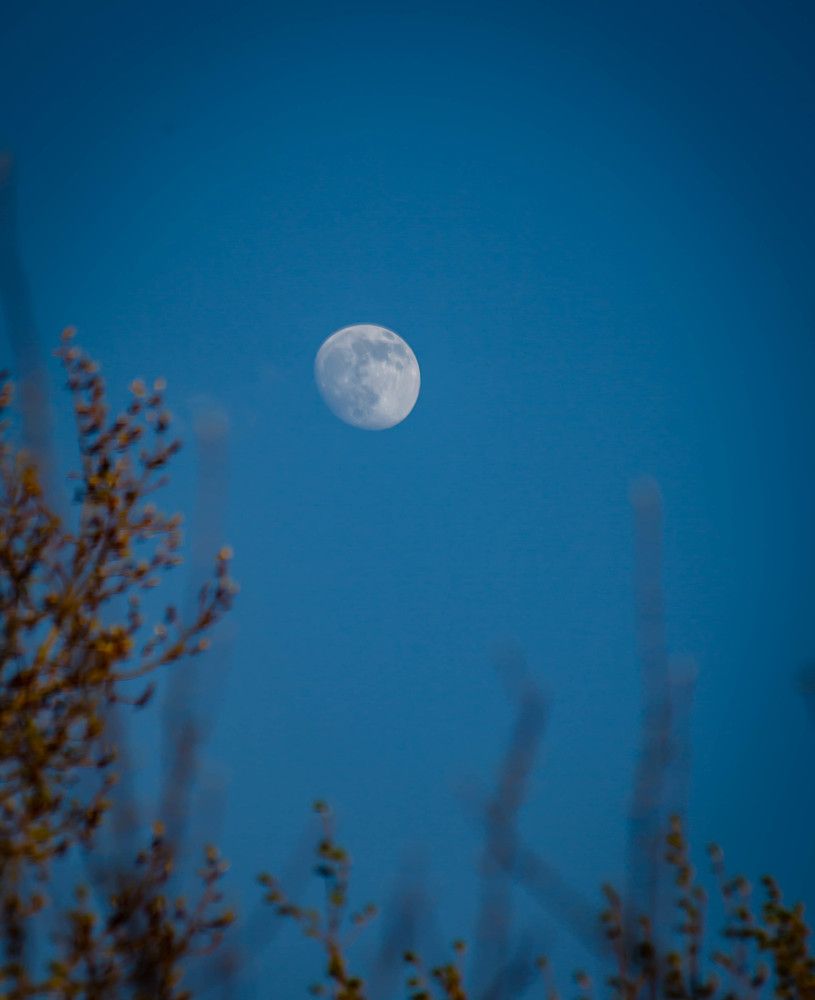 Photograph by Ольга Сафронова