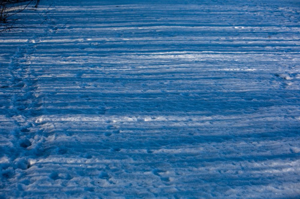Весенний штрих-код