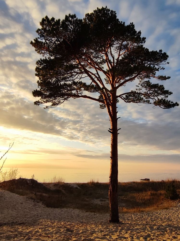Осенний закат на берегу Белого моря