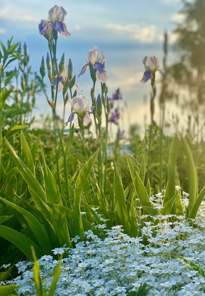 Photograph by Татьяна Маслова