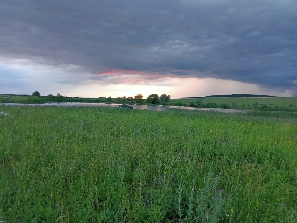 Photo #8021095