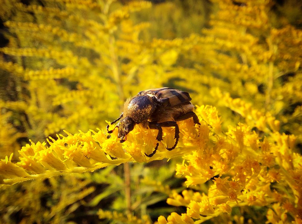 Где-то в августе.