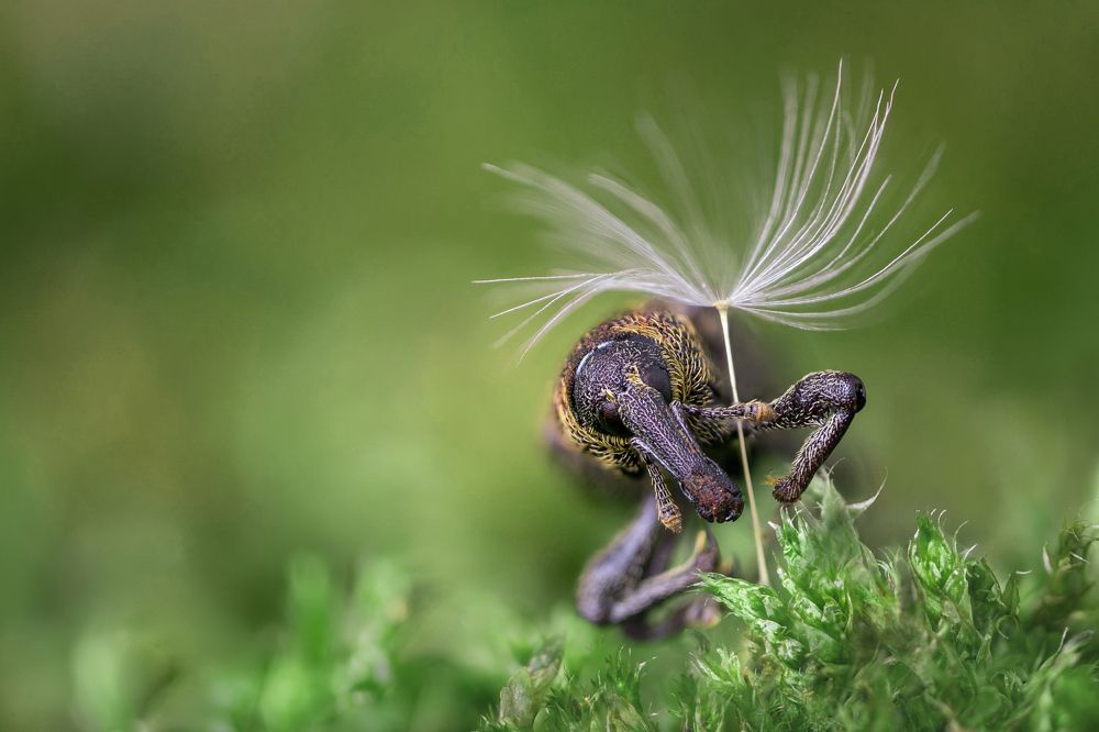Photograph by Сергей Романченко