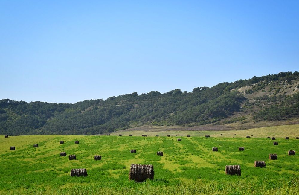 Photograph by Екатерина Гордеева