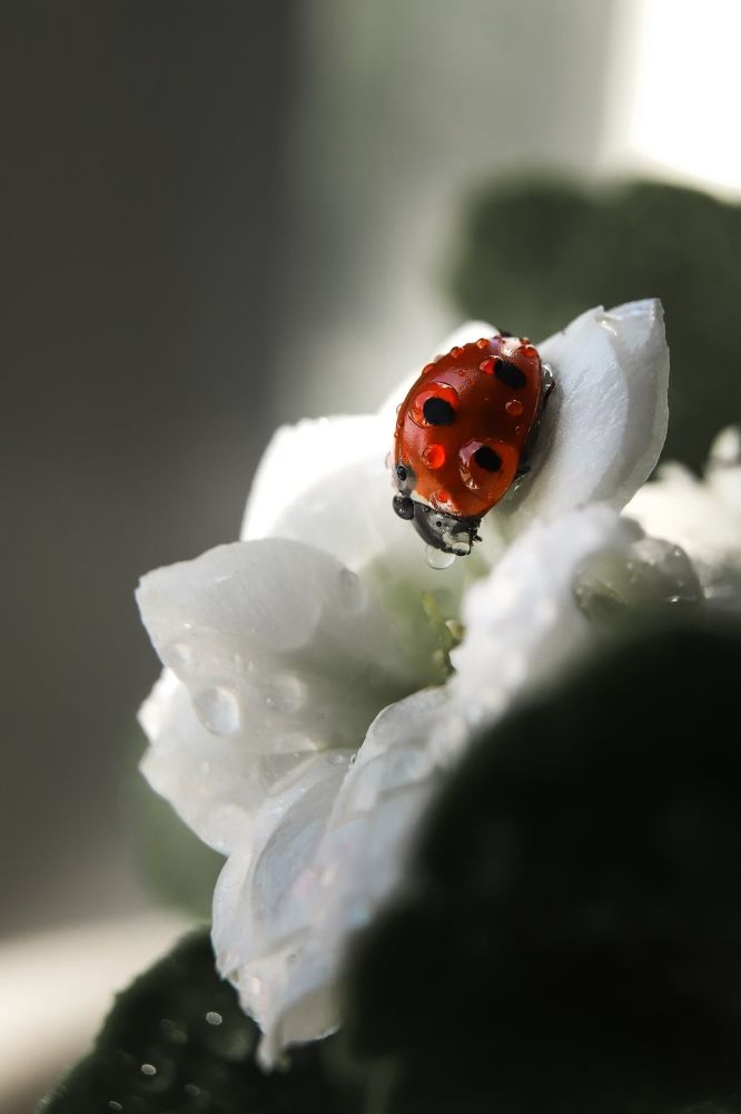 Photograph by Мадина Огорелкова