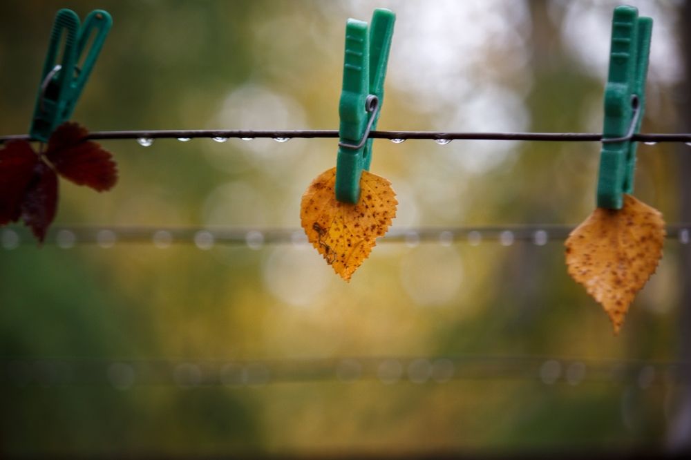 Photograph by Виктория Эверстова