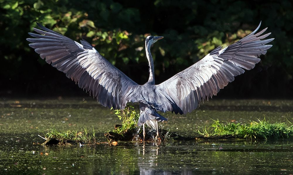 Photograph by Владимир Безбородов