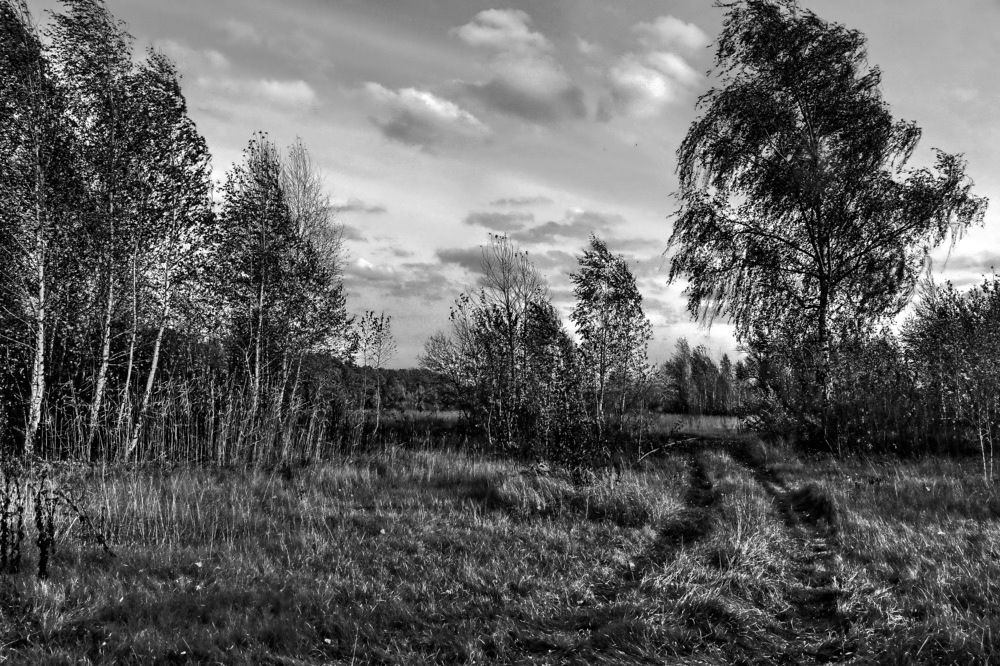 Photograph by Владимир Подкуйко