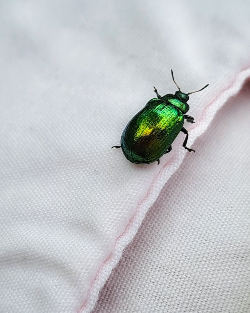 Photograph by Татьяна Соколовская