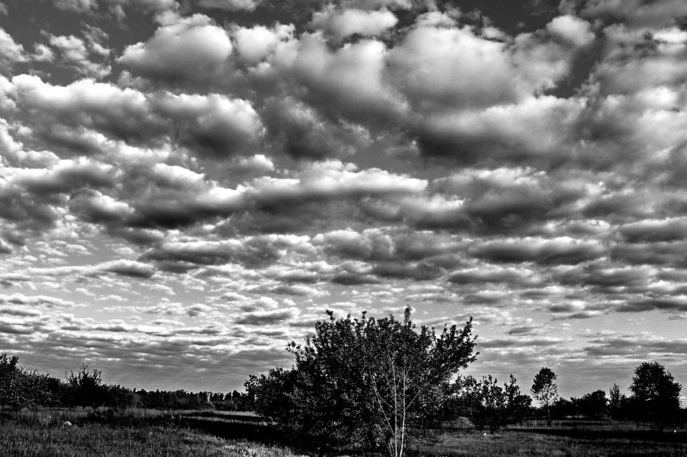 Photograph by Владимир Подкуйко