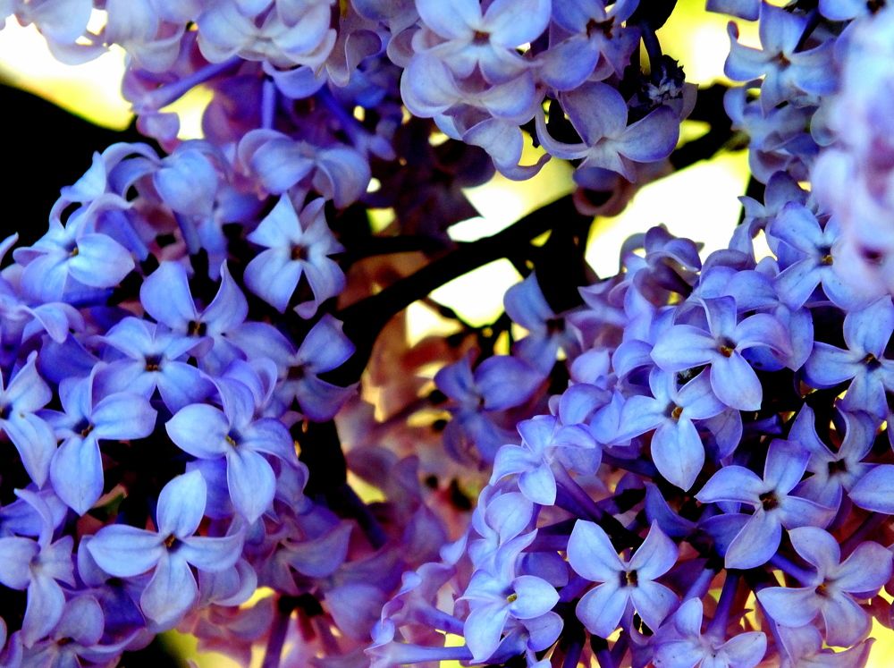 Photograph by Михаил Семёнов