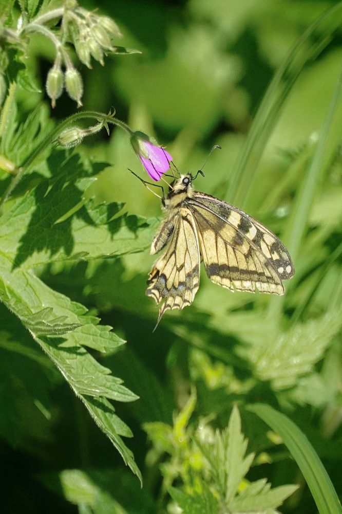 Photograph by Высотских Владимир