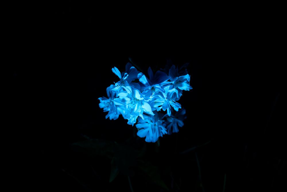 Photograph by Наталья Ивочкина