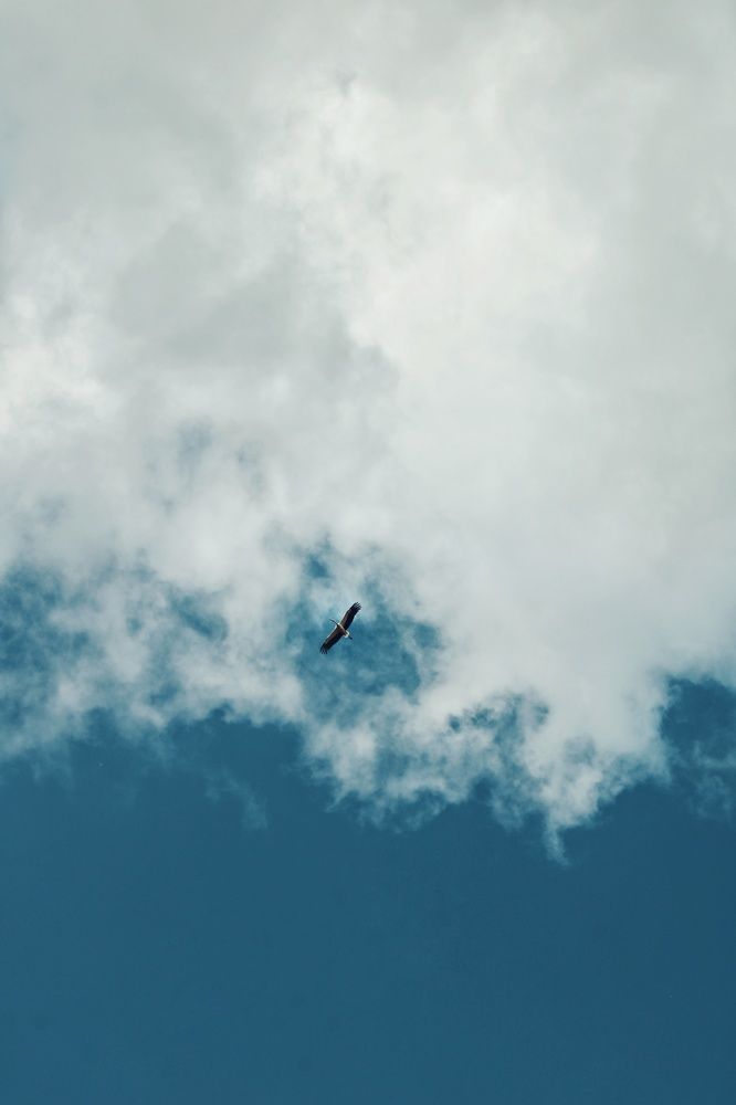 Photograph by Виктория Старовойтова