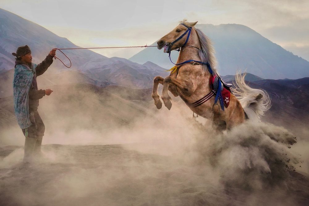 Photograph by Henri Fitriadi