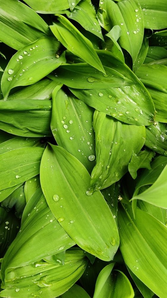 Photograph by Ольга Минакова