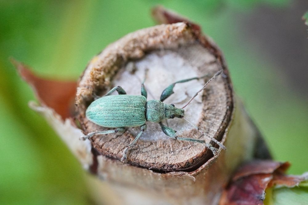 Photograph by Высотских Владимир