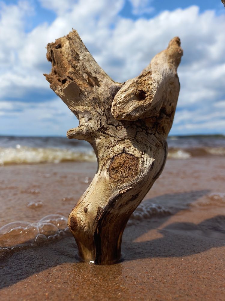 Photograph by Зоя Кулько