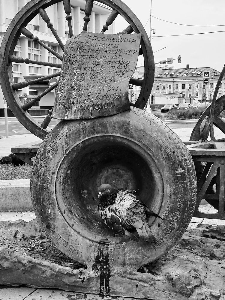 Photograph by Зоя Кулько