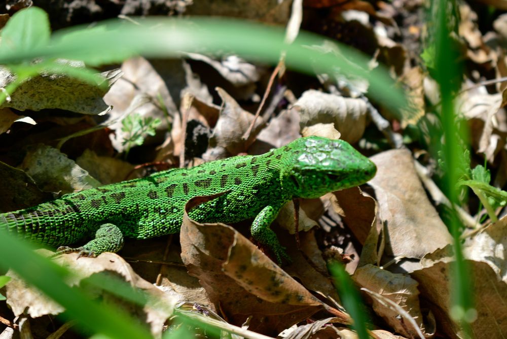 Photograph by Елена Бледных