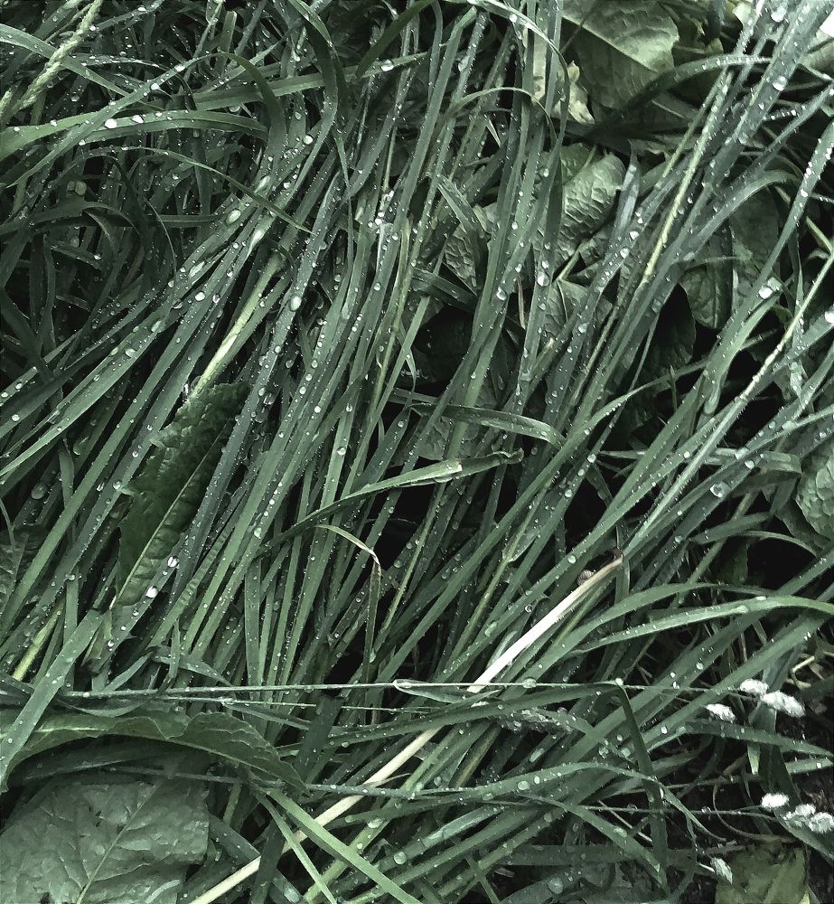 Photograph by Елена Дегтяренко