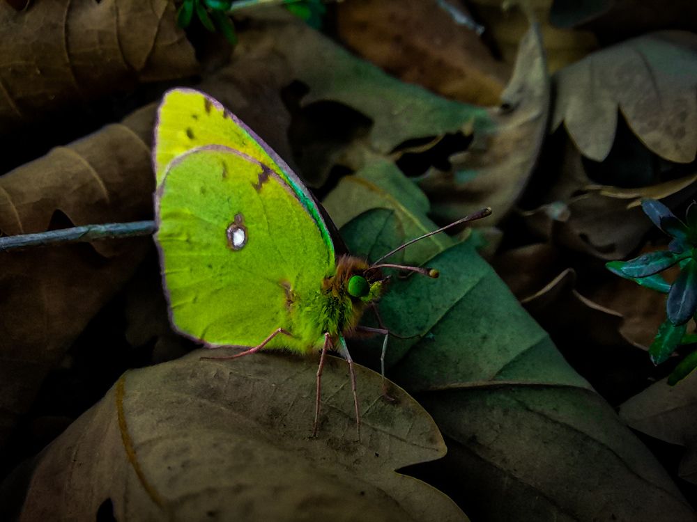 Photograph by Ронжин Дмитрий