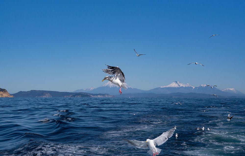 Photograph by Николай Фонарёв