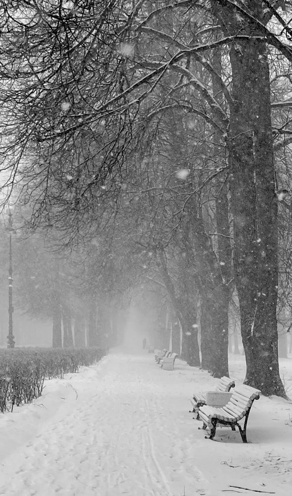 Photograph by Михаил Гордий