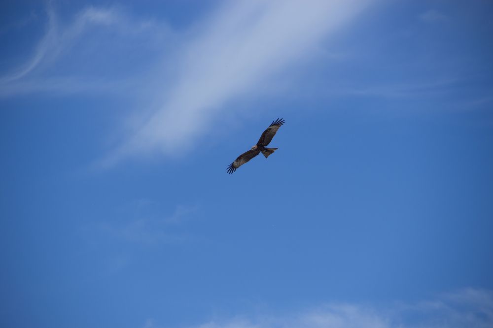 Photograph by Ольга Минакова