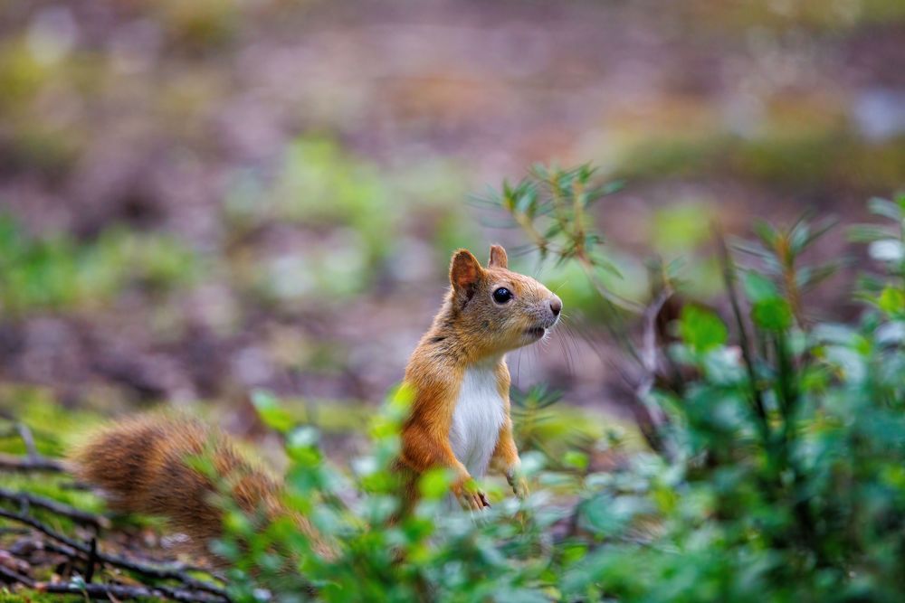 Photograph by Валентин Колинько