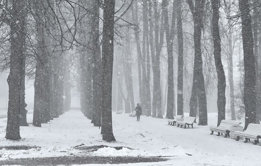 Photograph by Михаил Гордий