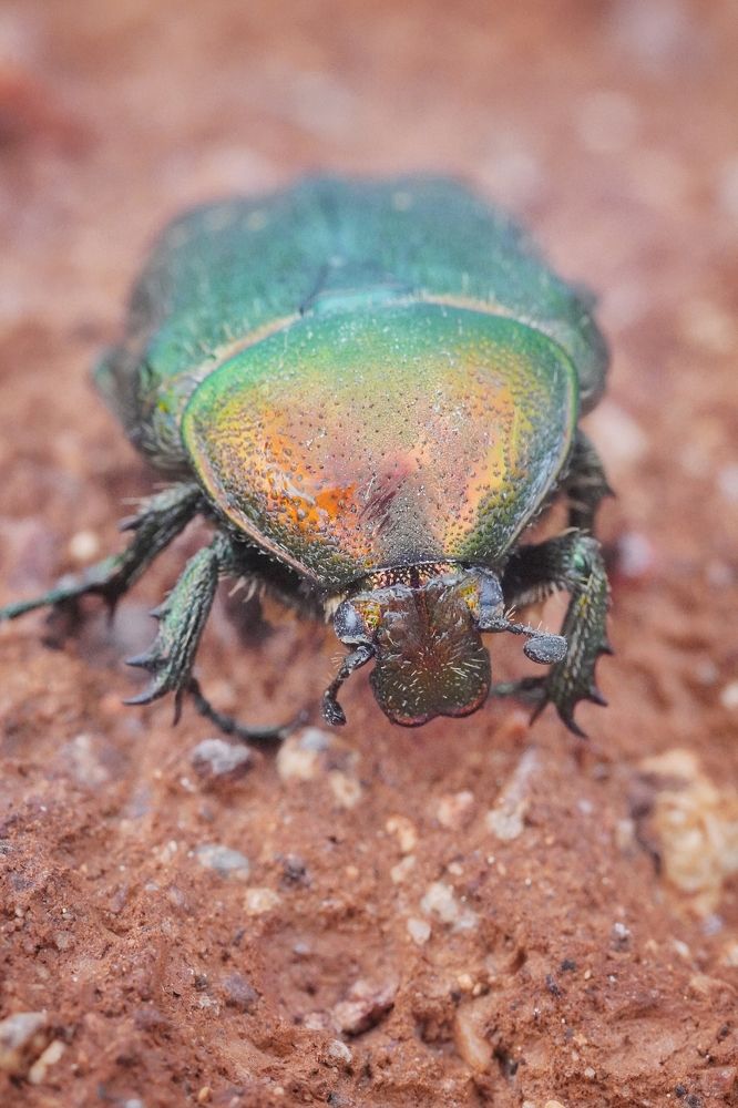 Photograph by Высотских Владимир