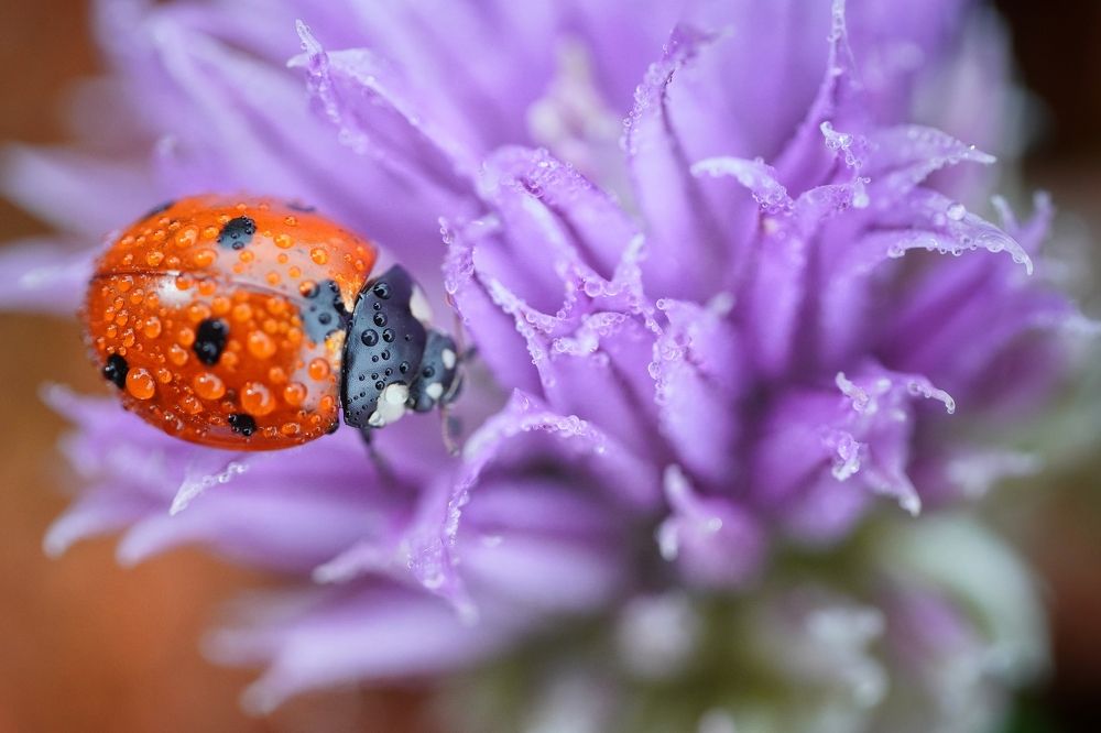 Photograph by Высотских Владимир