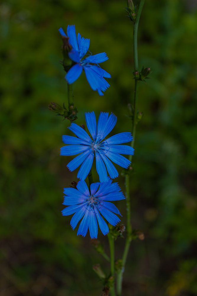 Photograph by Ирина Дмитриенко