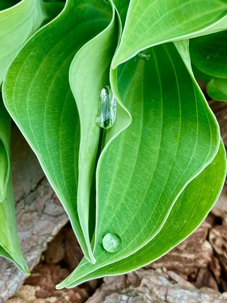 Photograph by Татьяна Маслова