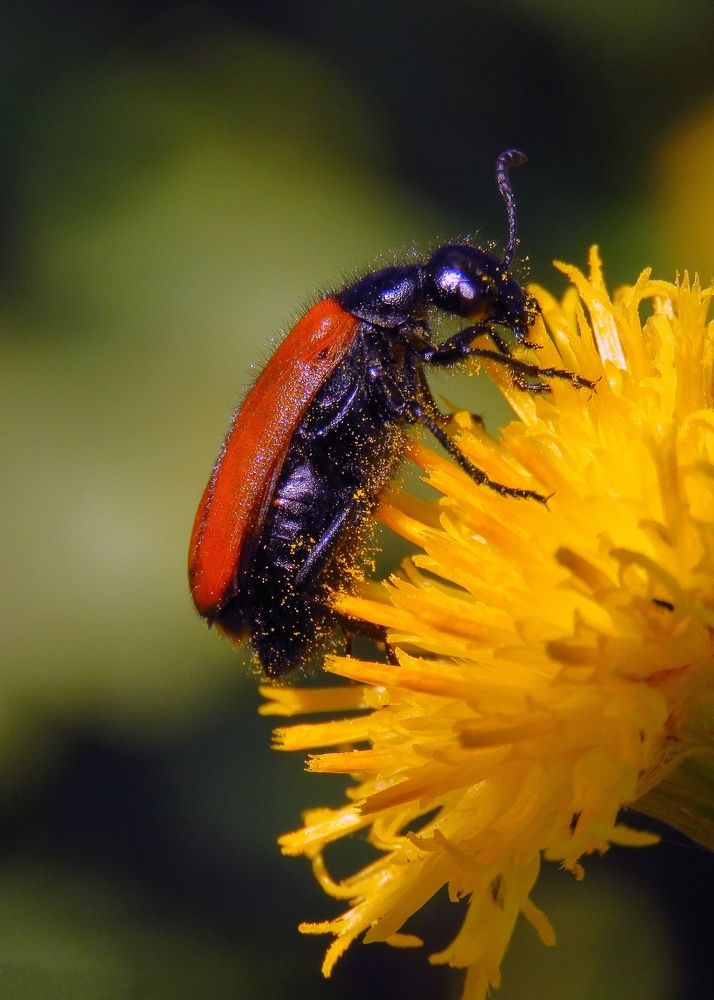 Photograph by Amin Ghaffarian