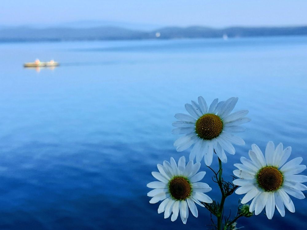 Photograph by Ирина Пичугина