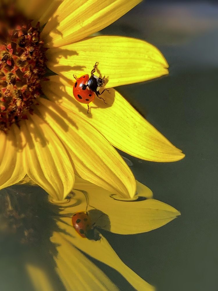 Photograph by Olga Dubinkina