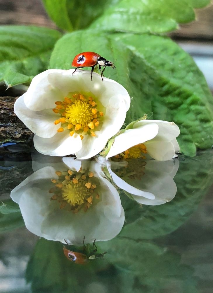 Photograph by Olga Dubinkina