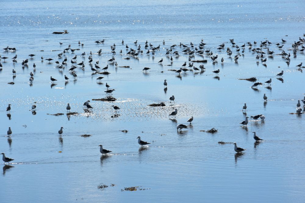 Photograph by Евгений Захаров