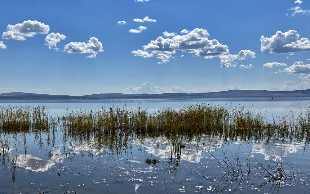 Photograph by Елена Мизина