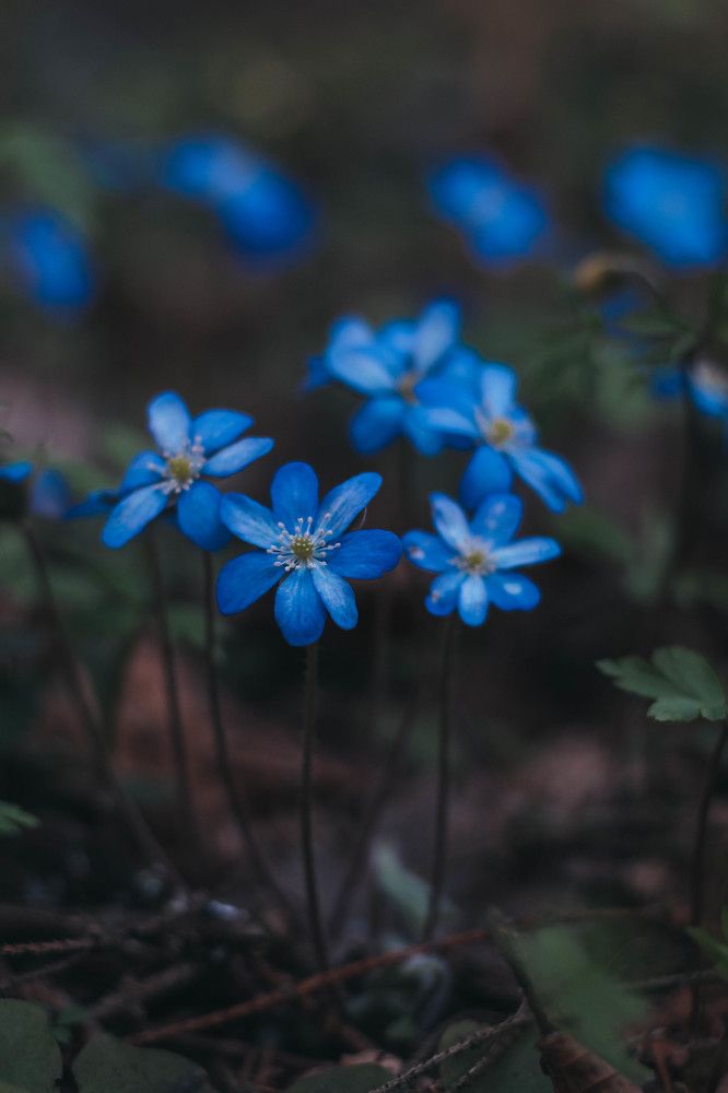 Photograph by Евгений Белов