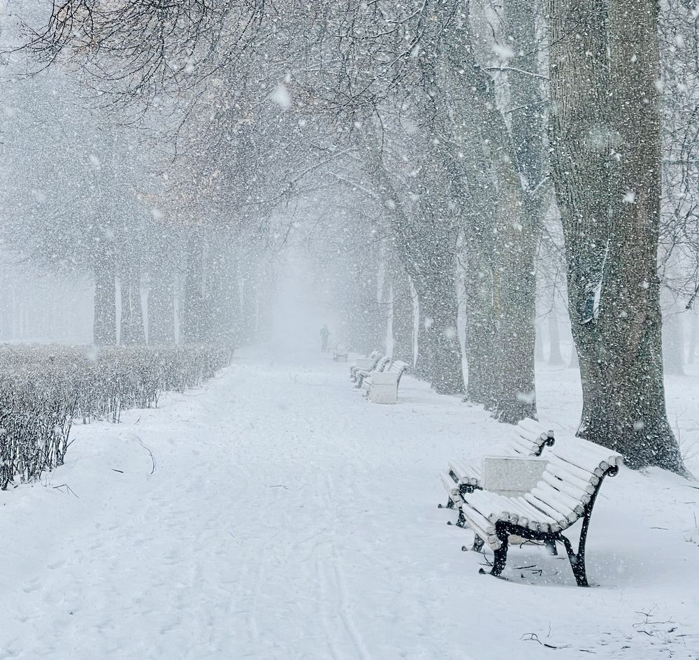 Photograph by Михаил Гордий