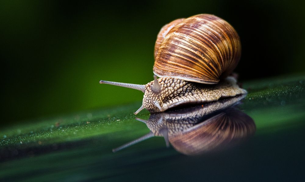 Photograph by Владимир Безбородов